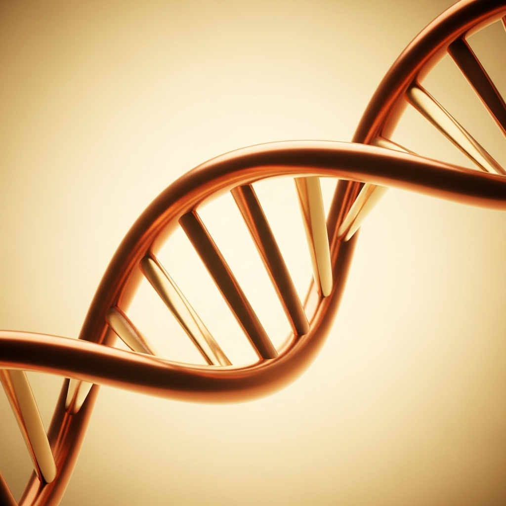 Copper-gold DNA double helix, macro